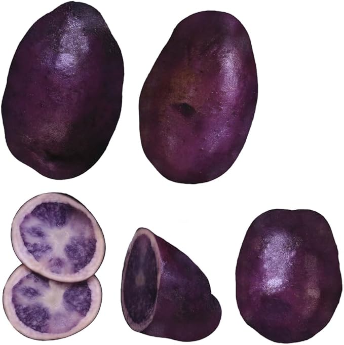 2 Lbs Purple Potato Tubers High Yielding for Outdoor Planting, Vegetables Potatoes Plants Bulbs Seeds, Heirloom Seed Potato Live Tuber
