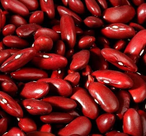 Vegetable Garden Seeds for Planting - Grow Heirloom Vegetables (Kidney Bean)