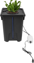Hydroponic Bucket, hydroponic Bucket System, Recirculating Drip Garden, 7.13 Gallon with Air Pump and Clay Gravel, Environmentally Friendly and Efficient Indoor Plant Cultivation