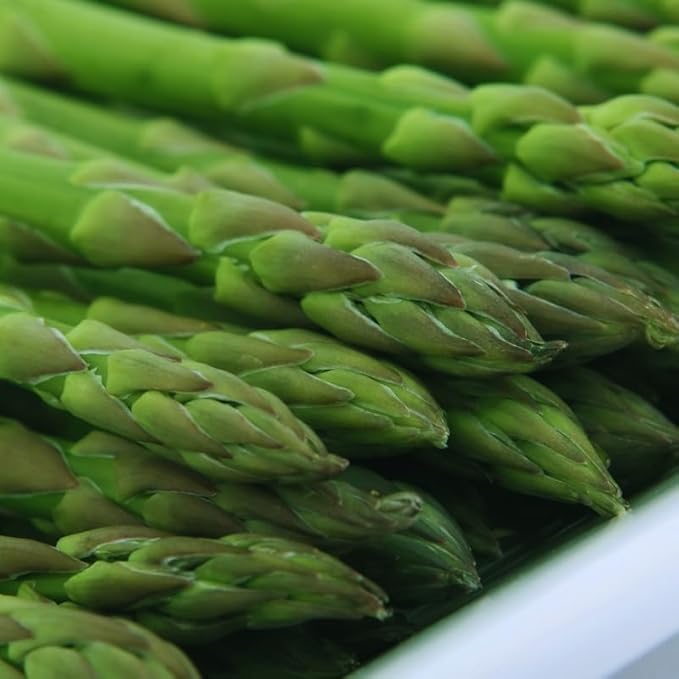 200 Asparagus Seeds for Planting, Vegetable Seeds, Asparagus Vegetable Seeds