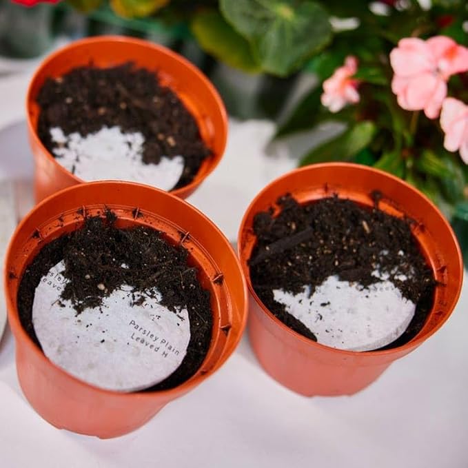Park Seed Easy DIY Planting Sow Effortless Collection Seed Discs, Organic Sweet Basil, (Set of 3)