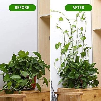 10 Pcs Plant Climbing Wall Self-Adhesive Fixed Clip Climbing Vine Vegetable Hook Garden Clip Hanging Stora Wire Home Sticky Plant Support Structures