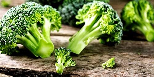 Seeds Broccoli 200+ Non-GMO Seeds for Planting Annual Plant in Spring or Fall