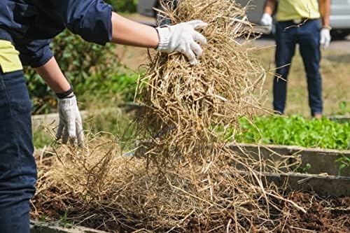 Premium Quality 4 Pound Garden Straw Natural Weed Control and Soil Insulation for Healthy Plants or Animal Bedding