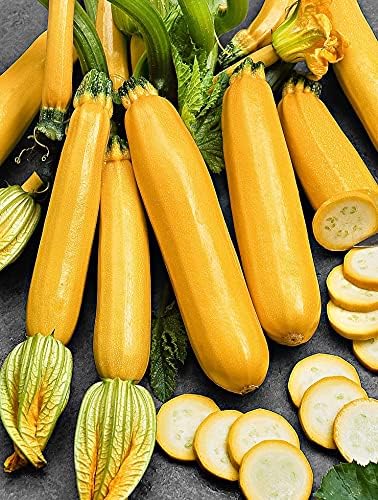 SeedsUP - 30+ Seeds Easy Pick Zucchini - Vegetable Golden