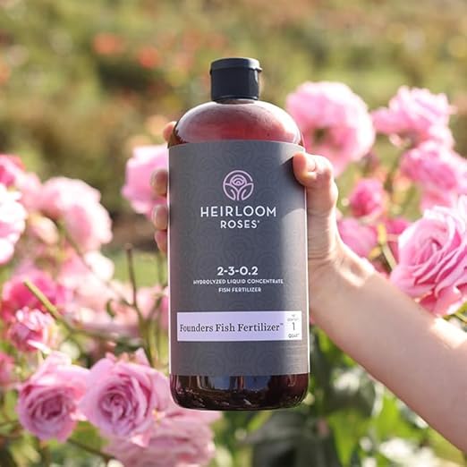 Heirloom Roses Founder’s Fish Fertilizer, Plant Food for Plants, Organic Liquid Emulsion Fertilizer, Garden Fertilizers for Rose Flower and Tomato Outdoor Gardening, 32 Fl Ounces, Pack of 1