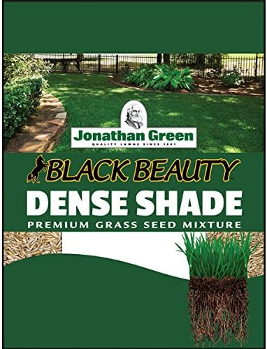 Jonathan Green 40600 Dense Shade Grass Seed, 3 lb