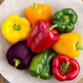 Rainbow Sweet Bell Pepper Seed Mix Multicolor Blend 40+ Seeds