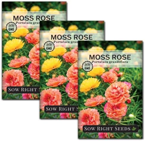 Sow Right Seeds - Moss Rose Seeds for Planting - Portulaca Grandiflora Mix - Double Flower Purslane - Non-GMO Heirloom Variety - Easy to Grow Outdoors - Colorful Annual for Garden & Containers (3)