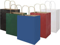 bagmad 100 Pack Multicolour Medium Gift Bags with Handles Bulk, 8x4.75x10 Inch White/Black/Green/Blue/Red Each 20pcs Kraft Birthday Party Favors Grocery Retail Shopping Craft Paper Bags (Multi Colored)