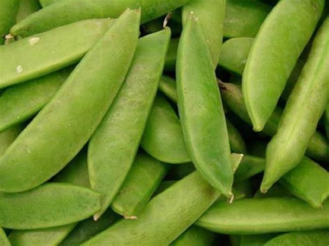 Joyous Jiffy "Veggie" Collection #2-(2)Round 3x3 Jiffy pots,(2)Soil Peat Pellets,(1)25+ Roma II Bush Bean Seeds,(1) 25+ Sugar Daddy Pea Seeds,(1)25+ Broccoli Raab Seeds,&(1)25+ Giant Belgium Tom Seeds