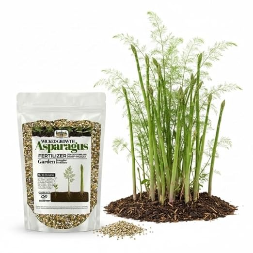Old Cobblers Farm™ Wicked Growth Asparagus Fertilizer – Balanced Formula for Healthy Spears & Strong Root Growth – Supports Early Season Growth (5 lbs | 10 lbs | 15 lbs | 20 lbs) (5 lbs)