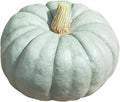 Jarrahdale Large Blue Pumpkin Seeds - 6-10 pounds - One of The Most Intereting and Decorative Pumpinks as Well as Delicious