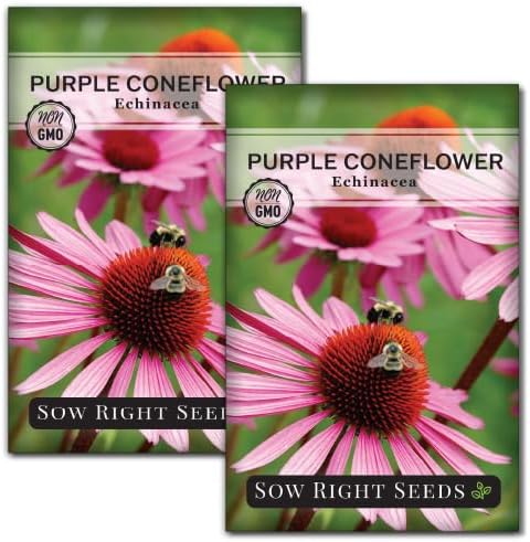 Sow Right Seeds - Purple Coneflower/Echinacea Flower Seeds for Planting - Non-GMO Heirloom - Plant for an Herbal Tea Garden - Attract Pollinators - Great Cut and Come Back Flower (2)