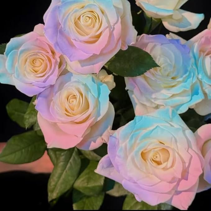 Mixed Climbing Rose Seeds for Planting, 295+pcs Rare Rose Flower Seeds, Heirloom Non-GMO Home Garden Bloom Flowers Plants for Outdoors Indoors