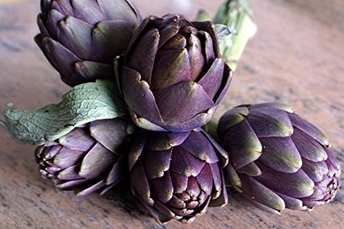 Seeds Purple of Romagna Globe Artichoke Vegetable for Planting Non GMO
