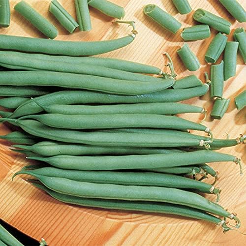 Top Crop Bush Bean Seeds - 100 Count Seed Pack -These Beans are Great for Canning or Freezing.- Country Creek LLC