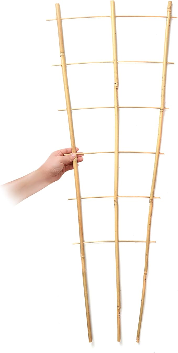 SWANGSA 6 Pack 3Ft Bamboo Trellis for Climbing Plants,35.5 Inch Fan-Shaped Bamboo Plant Trellis with 100pcs Twist Ties for Outdoor and Indoor Potted Plants Garden Stakes
