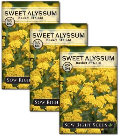 Sow Right Seeds - Sweet Alyssum Basket of Gold Flower Seeds for Planting - Perennial Garden Flowers - Easy to Grow Fragrant Blooms - Ideal for Borders and Containers - Attract Pollinators (3)