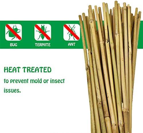 Mininfa Natural Bamboo Stakes 57 Inch (Approx 5 FEET), Eco-Friendly Garden Stakes, Plant Stakes Supports Climbing for Tomatoes, Trees, Beans, 20 Pack