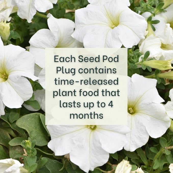 Red Petunia - Complete Seed Pod Plugs with Plant Food - 10 Pods for Hydroponic Gardens, Click and Grow, Lettuce Grow and Outdoor Gardens