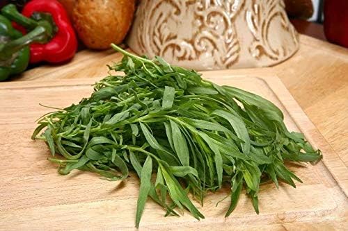 Seeds4planting - Seeds French Tarragon Herb for Planting