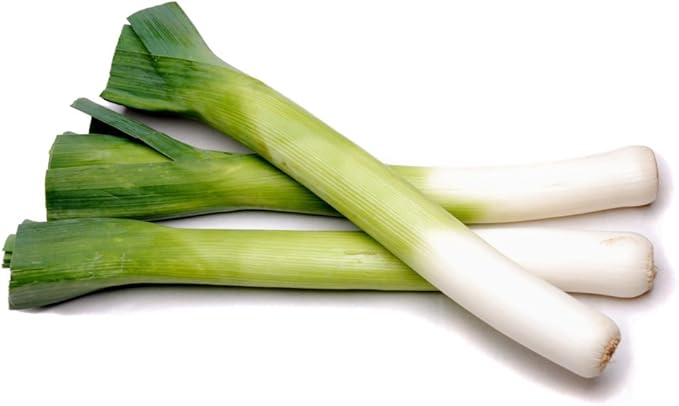Seeds Leek Autumn Giant (Allium porrum) Onion Vegetable Heirloom for Planting Non GMO