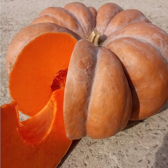 SeedsUP - 10+ Seeds Pumpkin Musquee de Provence - Vegetable Orange