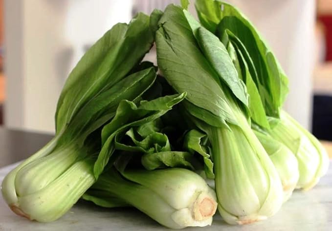 Seeds Bok Choy Chinese - Green Cabbage - Heirloom Vegetable - GMO Free