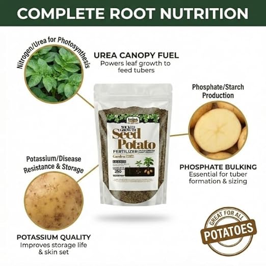 Old Cobblers Farm™ Wicked Growth Seed Potato Fertilizer-Strengthens Roots, Boosts Yields, and Supports Healthy Potato Growth with Eco-Friendly, Slow-Release Nutrients. (5/10/15/20 lbs) (20lbs)