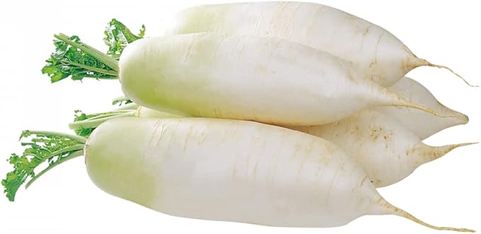 Todd's Seeds Japanese Minowase (Daikon) Radish Heirloom Seed - 10g Packet