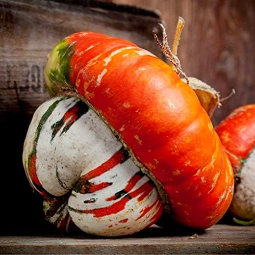 Seeds Ornamental Pumpkin Turk's Turban 10+ Seeds for Growing Decorative and Edible Non-GMO Annual Plant