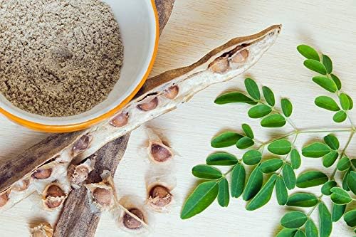 30 Organic Moringa Oleifera Drumstick Seeds, Non-GMO, for Sprouting, Planting, and Cooking by Mai's Family