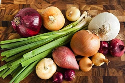 Seeds Vegetable Onion Rainbow Mix Neutral - 500 Seeds