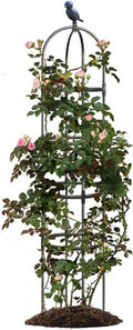 Garden Trellis,Tomato Cage for Climbing Plants Outdoor, Plants Trellis Support for Climbing Vines, Plant Support for Vegetables, Plant Flower Trellises for Clematis Jasmine Outdoor Indoor-1 Pack