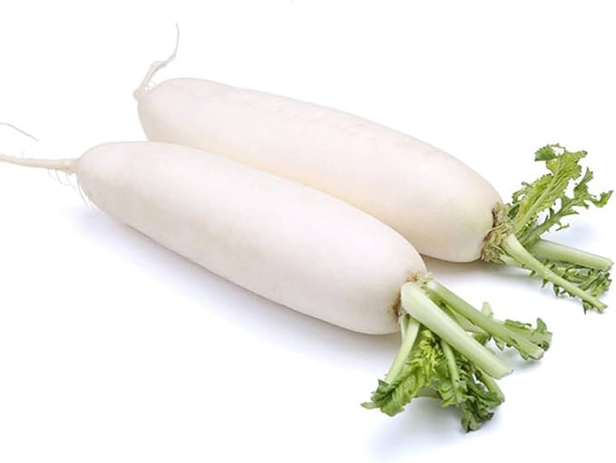 Todd's Seeds Japanese Minowase (Daikon) Radish Heirloom Seed - 10g Packet