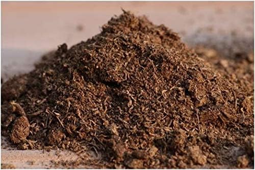 Natural Sphagnum Peat Moss Organic Soil Conditioner, Potting Soil, Soil Amendment & Media - Nutrient Enriching Gardening Soil Perfect for Indoor, Outdoor & Carnivorous Plants 1QT Bag Size