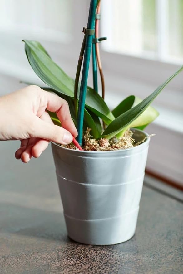 Miracle-Gro Orchid Plant Food Spikes - Indoor Plant Fertilizer Sticks for Potted Orchids, Feeds for up to 2 Months, 10 Spikes