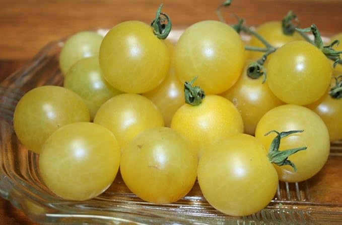 50+ Seeds Snow Cherry Tomato - Vegetable White