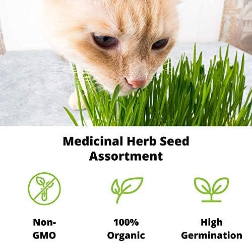 Organic Cat Grass Seeds – Non-GMO Hard Red Wheatgrass Seeds for Cats, Dogs, Rabbits – Grows in Cat Grass Kits – 12 oz
