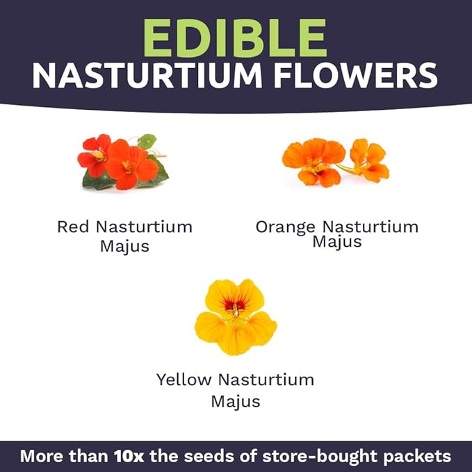 Nasturtium Seeds – Mixed Colors – Extra Large Packet – Over 200 Open Pollinated Non-GMO Flower Seeds – Tropaeolum majus