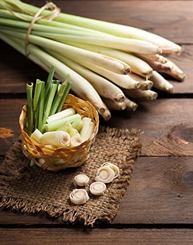 Seeds4planting - Seeds Lemongrass Cymbopogon Non GMO Heirloom