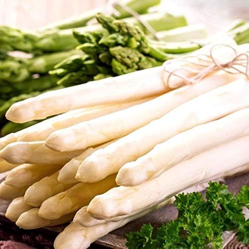 White Asparagus Seeds
