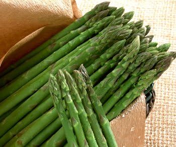 Bulk Organic Mary Washington Asparagus Seeds (25 lbs)