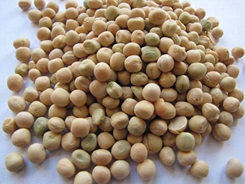 Brown Speckled Pea Sprouting Seed, Non GMO - 4 oz - Country Creek Brand - Brown Peas Sprouts, Garden Planting, Cooking, Soup, Emergency Food Storage, Vegetable Gardening, Juicing, Cover Crop