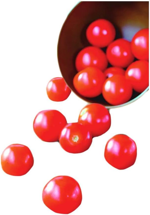Park Seed Cherry Tomato Seeds, Planting Vegetables, Easy to Grow, Non-GMO, Variety of Colors and Sizes, Spring Garden, Supersweet Hybrid, Pack of 30