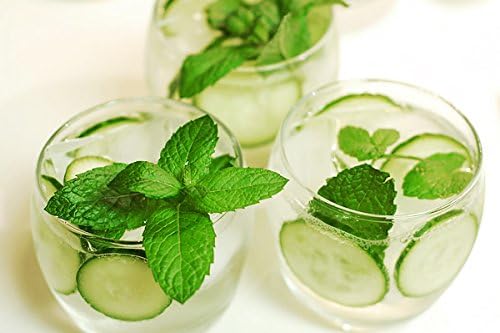 30 Muncher Burpless Sweet Cucumber Seeds, Heirloom Non-GMO, Non-Bitter and Acid Free, Crispy and Sweet, Fragrant and Delicious, Cucumis sativus, Grown in USA
