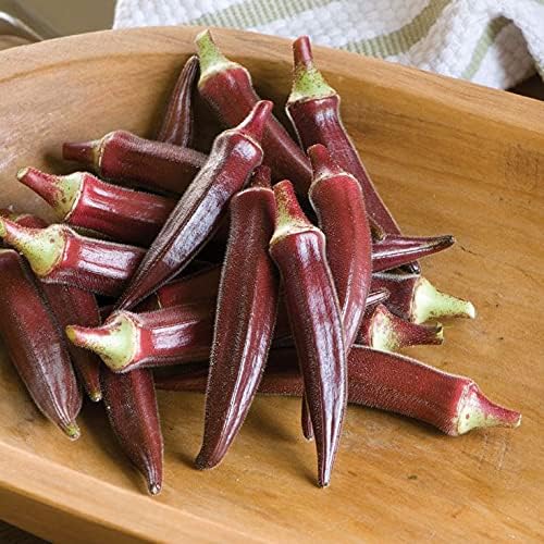 Red Okra Seeds – Abelmoschus Esculentus | Vibrant Red Pods | Heat-Tolerant & Nutritious Vegetable