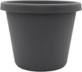 The HC Companies Prima Round Plastic Plant Pot w/Rolled Rim - Lightweight & UV Resistant Flower Pot for Herbs & More - Outdoor & Indoor Plant Pots w/Drainage (6 inch, Warm Grey, Pack of 1)
