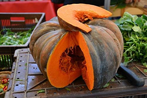 NIKA SEEDS - Seeds Vegetable Pumpkin Pumpkin East (Cucurbita Maxima) - 5 Seeds
